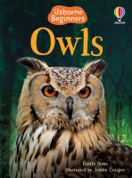 Usborne Beginners Owls