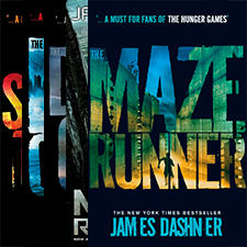 Серия The Maze Runner Series  - изображение