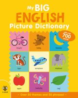 Big Picture Dictionaries