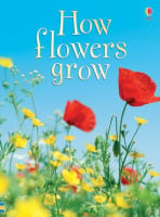 Usborne Beginners How Flowers Grow