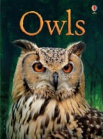 Usborne Beginners Owls