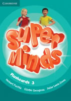 Super Minds 3 Flashcards
