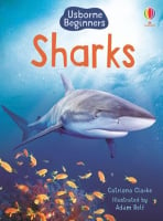 Usborne Beginners Sharks