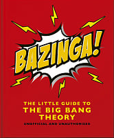 The Little Guide to the Big Bang Theory