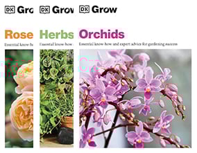 Серия DK Grow  - изображение