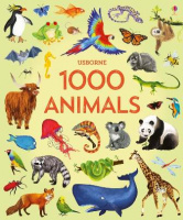 Usborne 1000 Pictures