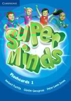 Super Minds 1 Flashcards