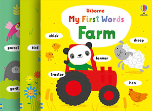 Серия Usborne My First Words  - изображение