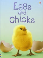 Usborne Beginners Eggs and Chicks