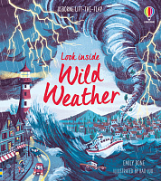 Look inside Wild Weather