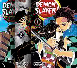 Серия Demon Slayer  - изображение
