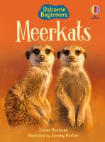 Usborne Beginners Meerkats