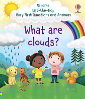 Lift-the-Flap Very First Questions and Answers: What are Clouds?