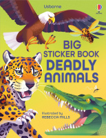 Usborne Big Sticker Books