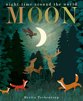 Moon: Night-time around the World