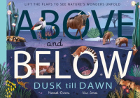 Above and Below: Dusk till Dawn