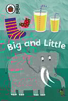 Early Learning: Big and Little