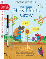 Wipe-Clean How Plants Grow (Age 5 to 6)