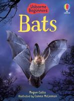 Usborne Beginners Bats