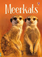 Usborne Beginners Meerkats