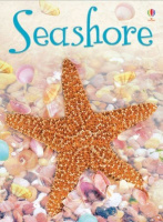 Usborne Beginners Seashore