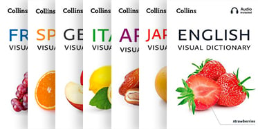 Серия Collins Visual Dictionary  - изображение