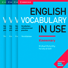 Серия English Vocabulary in Use pre intermediate/intermediate - изображение