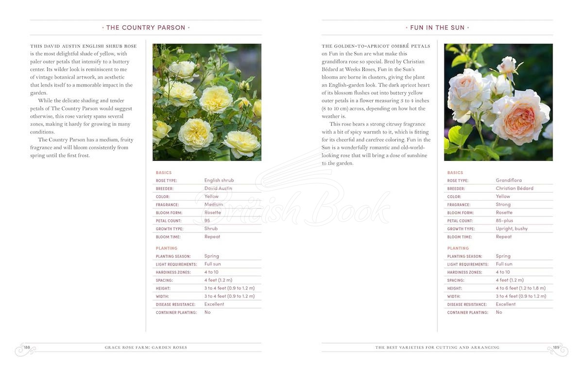 Книга Garden Roses зображення 6