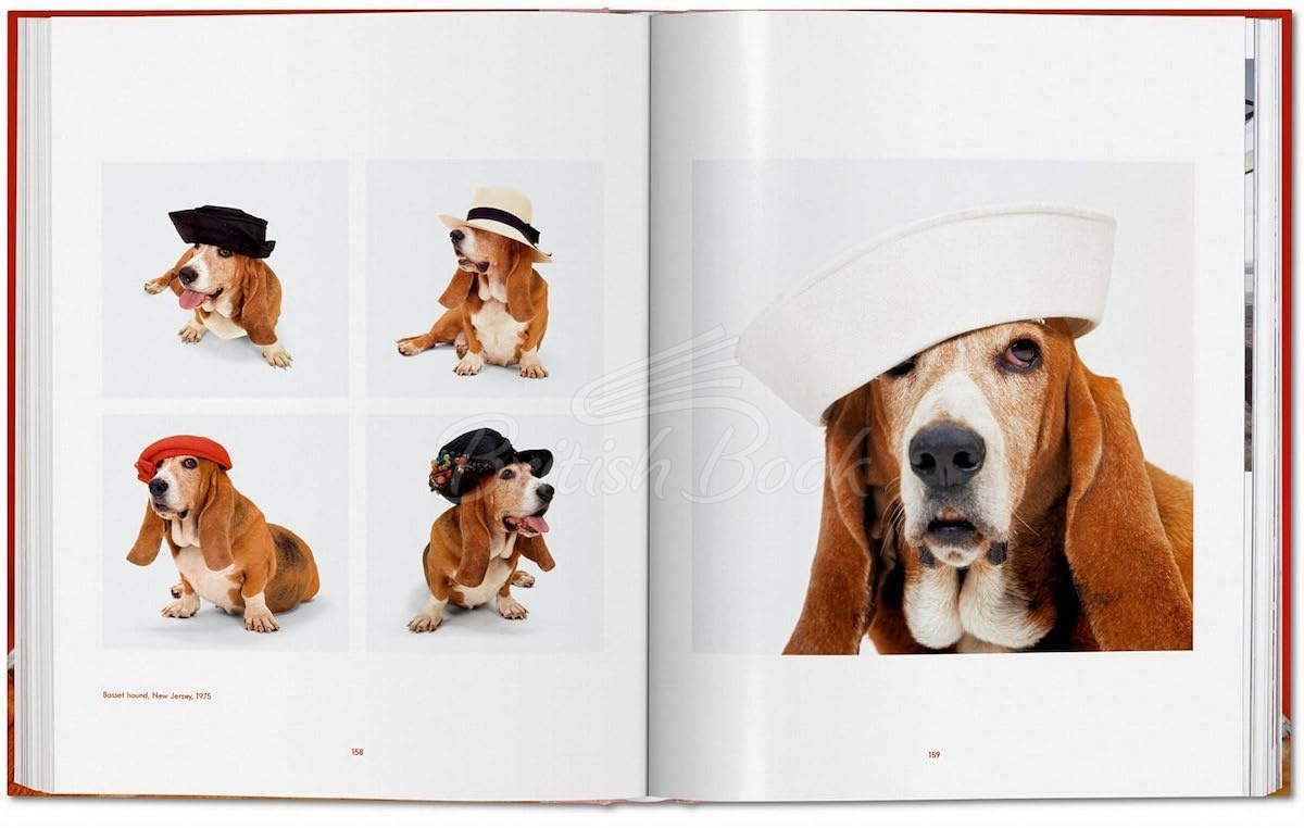 Книга Walter Chandoha. Dogs. Photographs 1941–1991 изображение 8