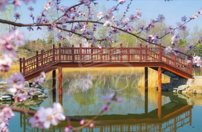 Книга Amazing Gardens зображення 3