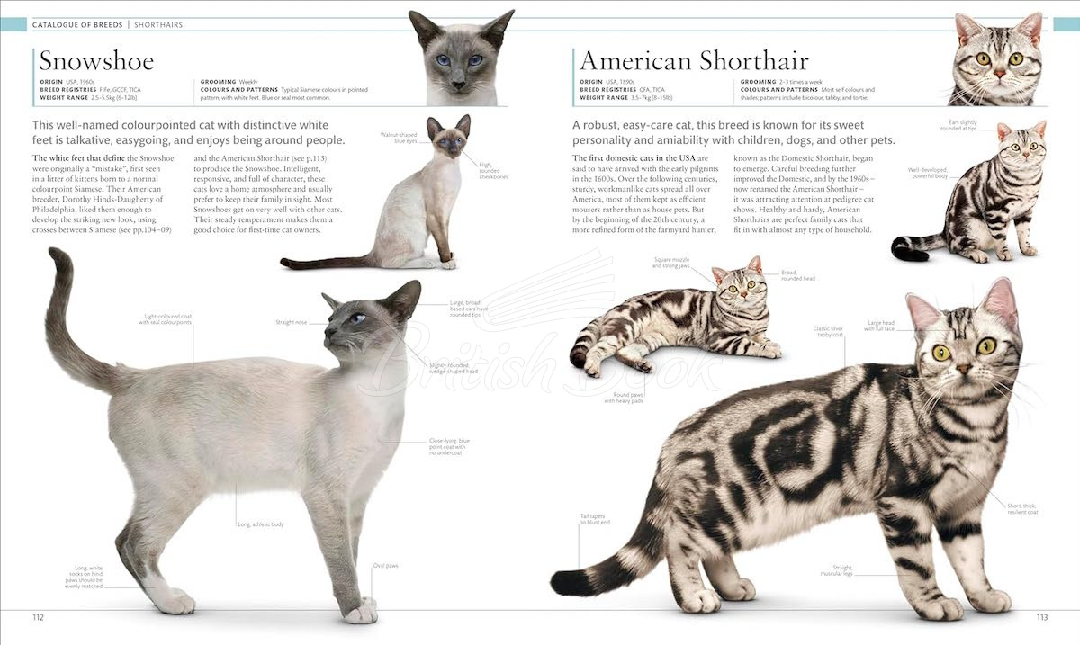 Книга The Cat Encyclopedia изображение 5