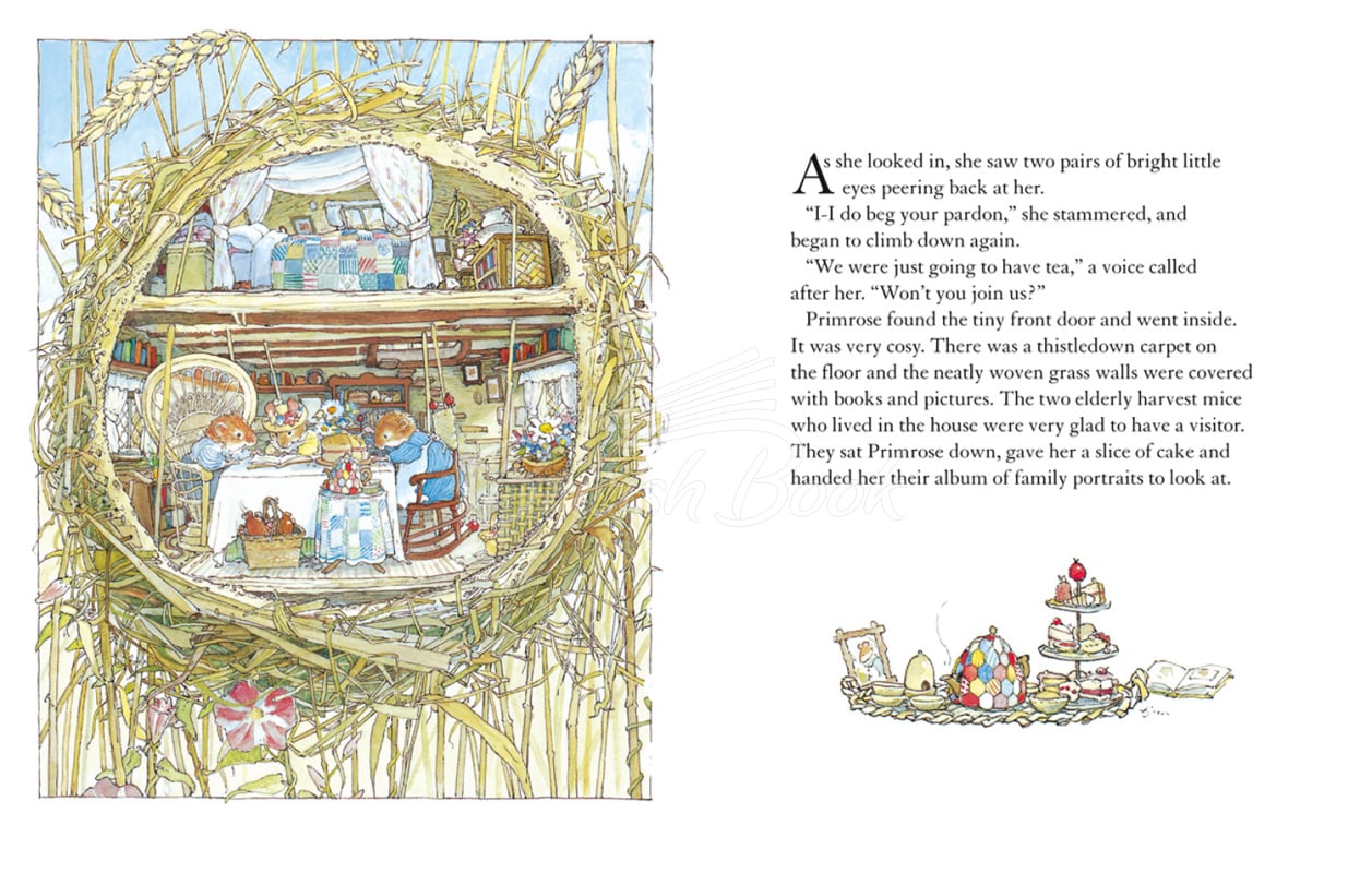 Книга Brambly Hedge: Autumn Story зображення 1