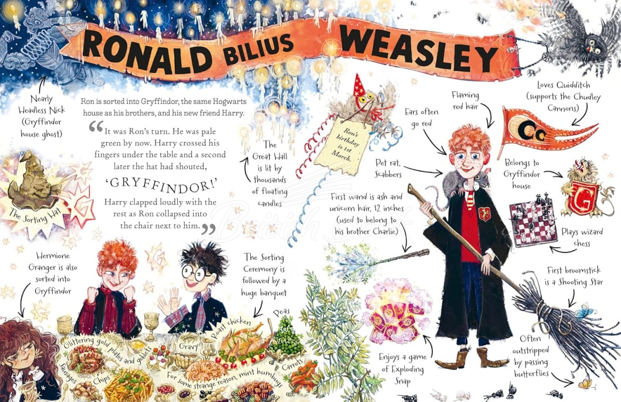 Книга Ron Weasley: Little Guides to the Harry Potter Stories by J.K.Rowling зображення 2