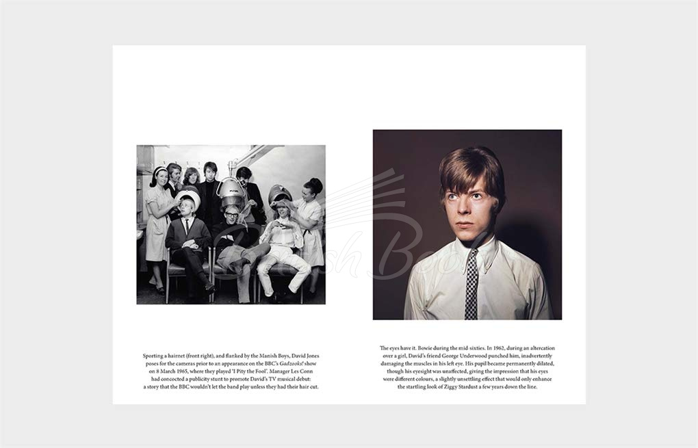 Книга Lives of the Musicians: David Bowie зображення 6