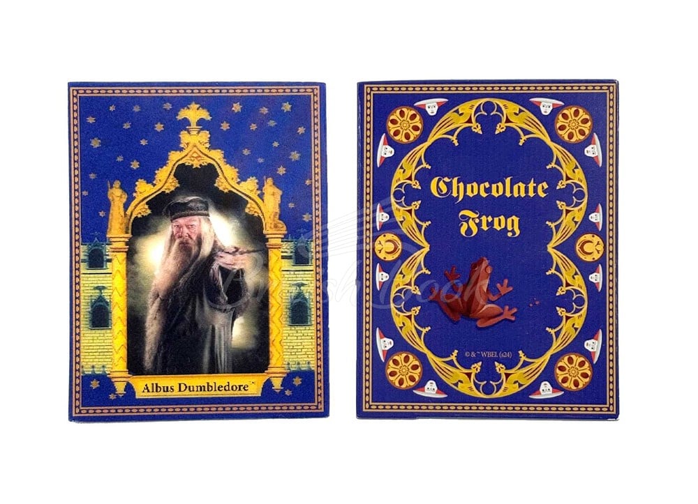 Клейкий папір для нотаток Harry Potter: Chocolate Frog Sticky Notepad зображення 3