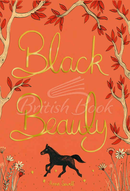Книга Black Beauty зображення