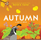 Autumn: A Pop-up Book