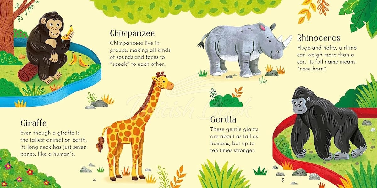 Настольная игра Zoo Matching Games and Book изображение 8