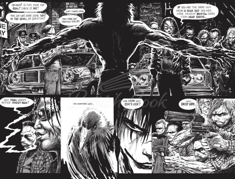 Книга The Crow (Special Edition) изображение 5