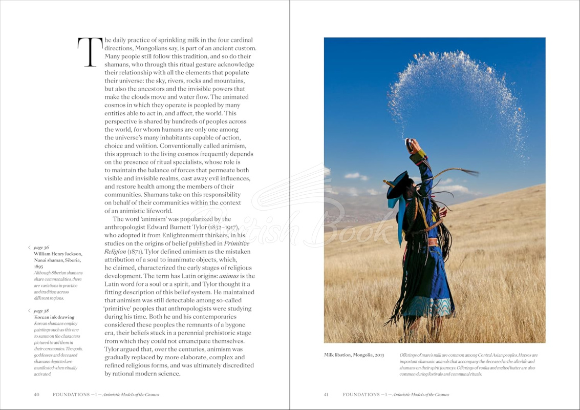 Книга Shamans: The Visual Culture of Animism, Healing and Journeys to Other Planes изображение 5