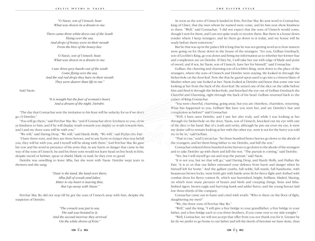 Книга Celtic Myths & Tales изображение 2