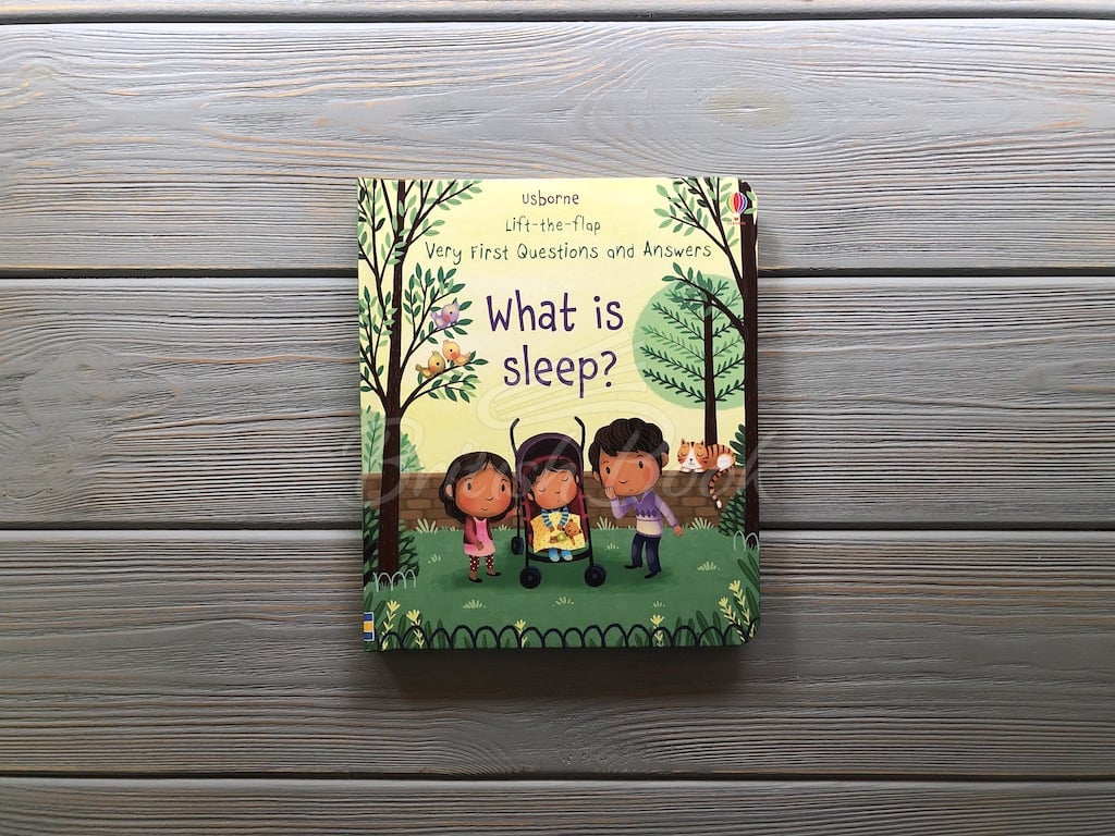 Книга Lift-the-Flap Very First Questions and Answers: What is Sleep? зображення 1