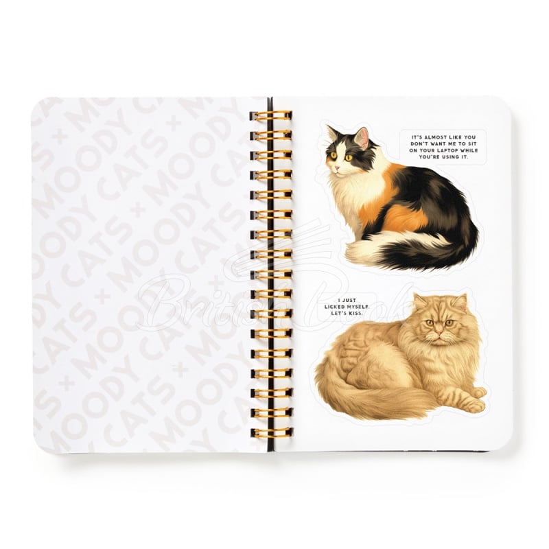 Стікербук Moody Cats Sticker Book зображення 5