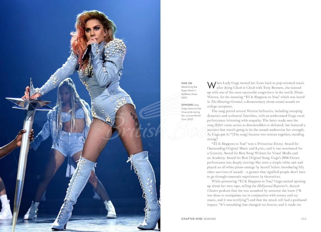 Книга The Essential... Lady Gaga зображення 4