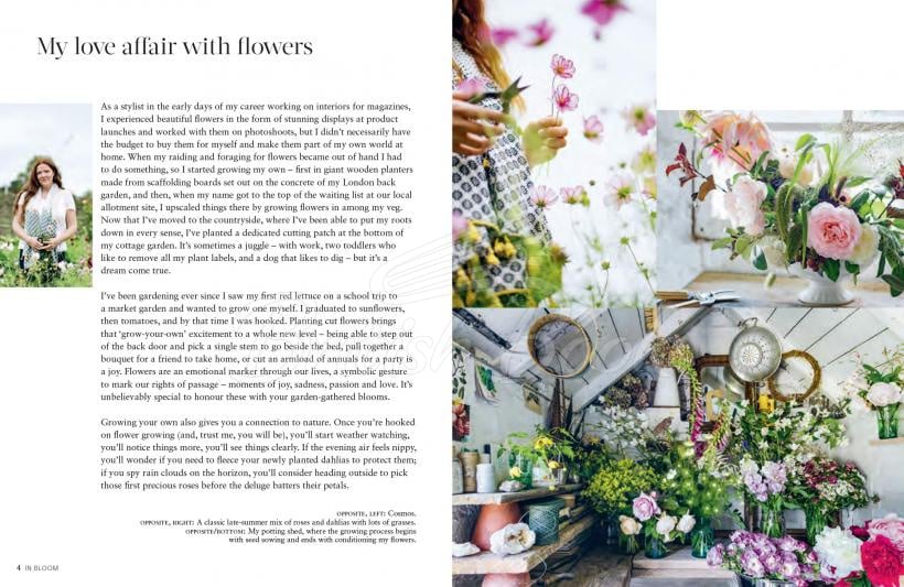 Книга In Bloom изображение 1