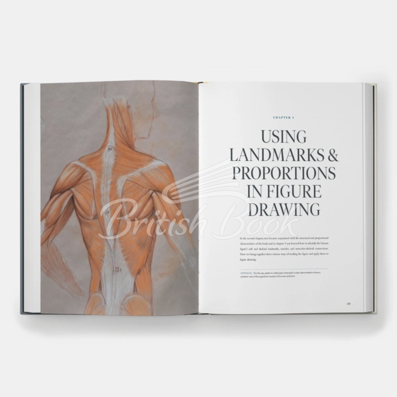 ะะฝะธะณะฐ Dynamic Human Anatomy: An Artist