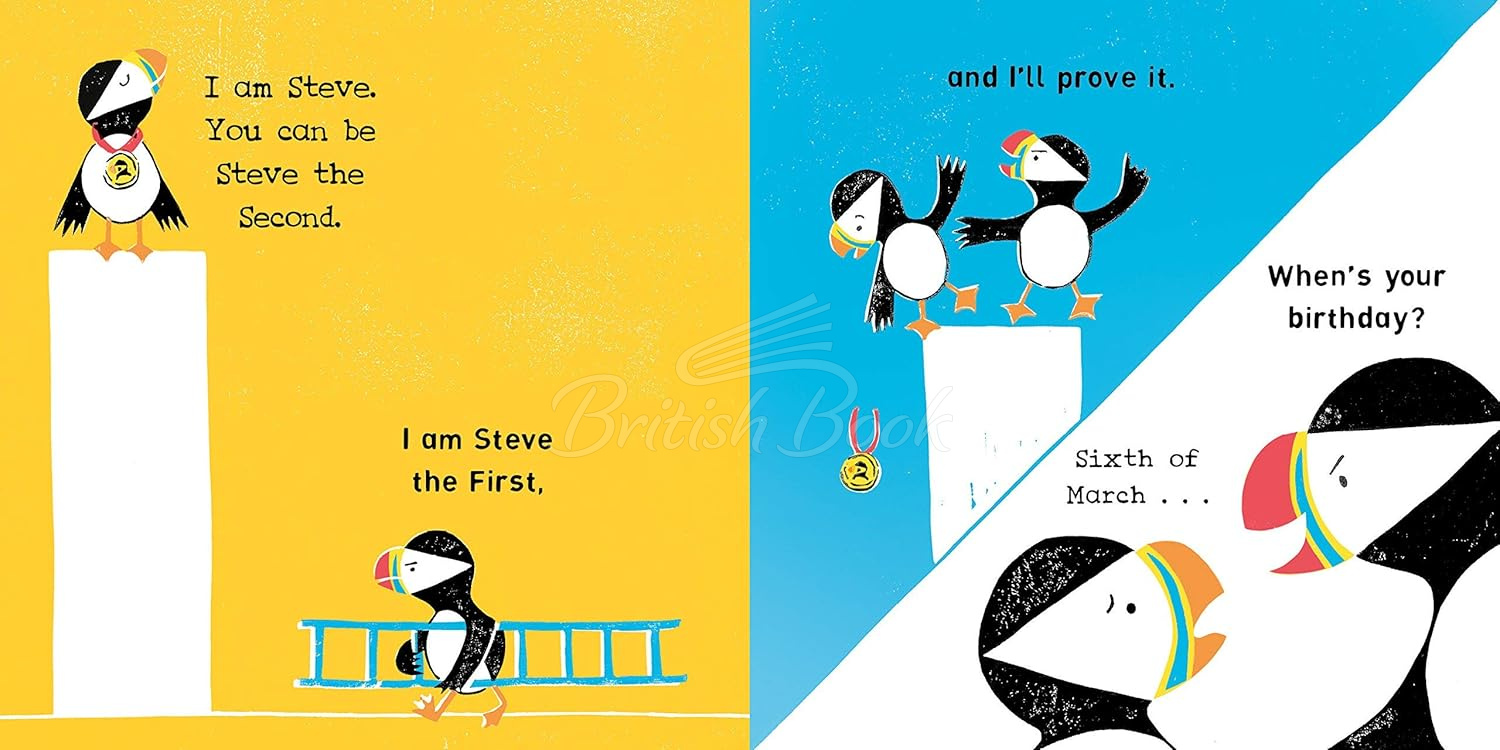 Книга The Steves зображення 2