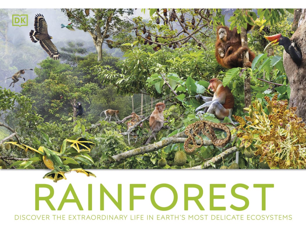 Книга Rainforest зображення