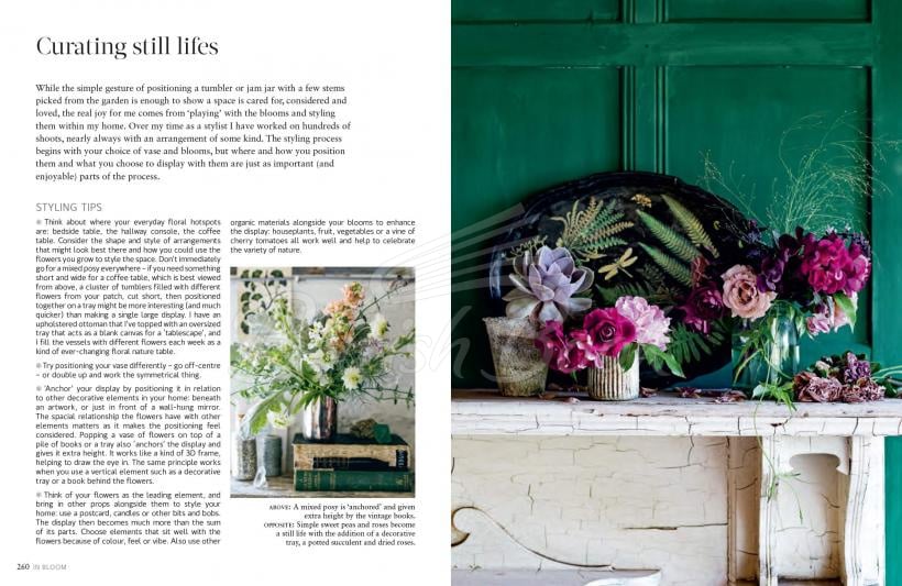 Книга In Bloom изображение 4