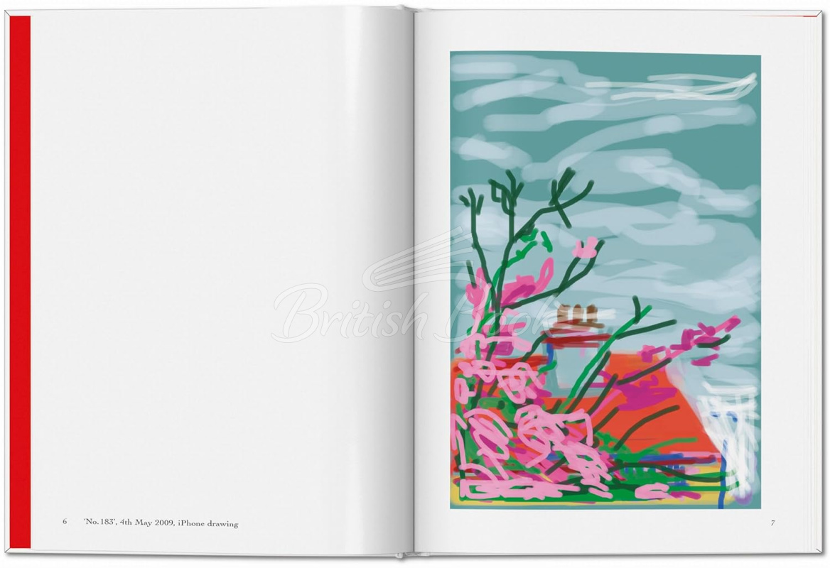 Книга David Hockney: My Window зображення 2